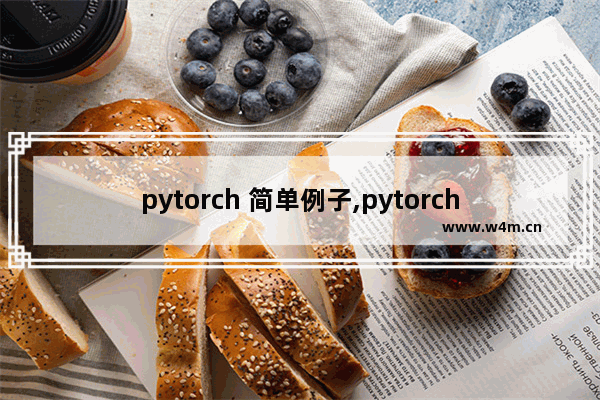 pytorch 简单例子,pytorch随机数