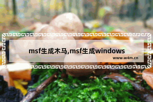 msf生成木马,msf生成windows木马