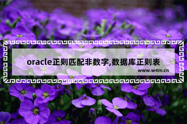 oracle正则匹配非数字,数据库正则表达式替换