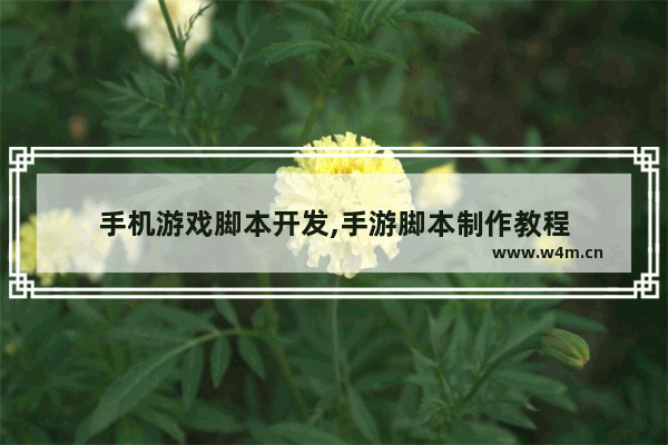 手机游戏脚本开发,手游脚本制作教程