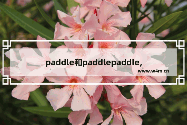 paddle和paddlepaddle,paddlepaddle使用