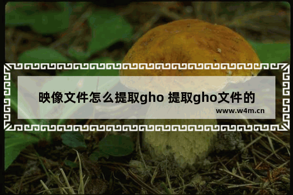 映像文件怎么提取gho 提取gho文件的映像内容