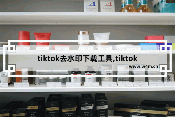 tiktok去水印下载工具,tiktok去水印版