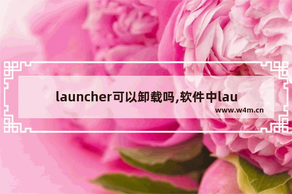 launcher可以卸载吗,软件中launcher是什么意思