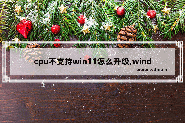 cpu不支持win11怎么升级,windows11主板开启