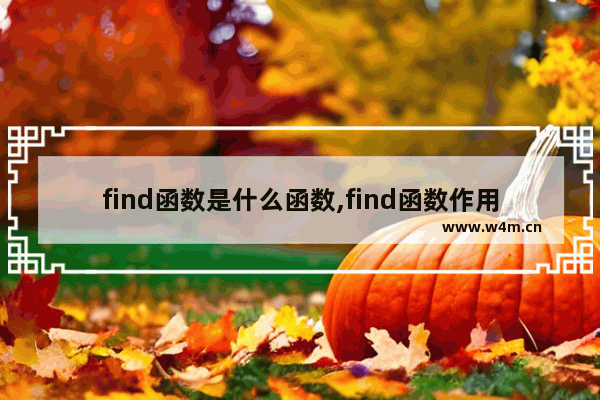 find函数是什么函数,find函数作用