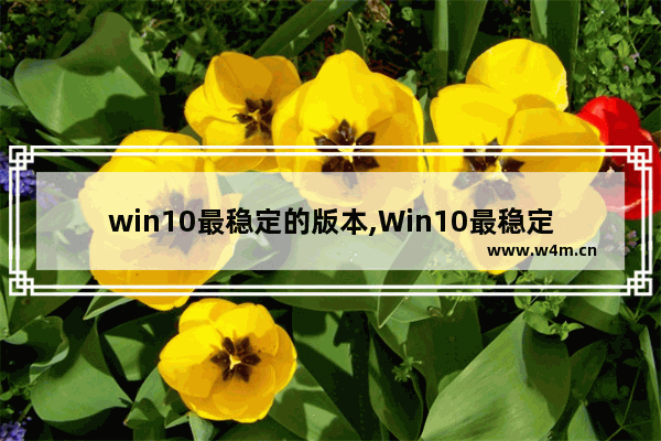 win10最稳定的版本,Win10最稳定版本