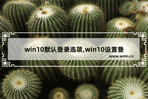 win10默认登录选项,win10设置登录方式