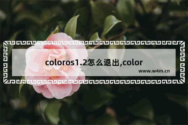 coloros1.2怎么退出,coloros尝鲜版回正式版