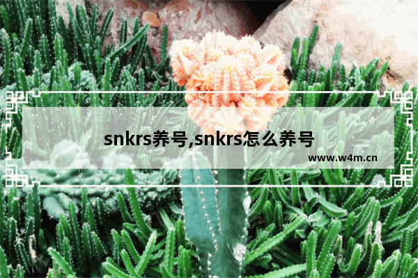 snkrs养号,snkrs怎么养号