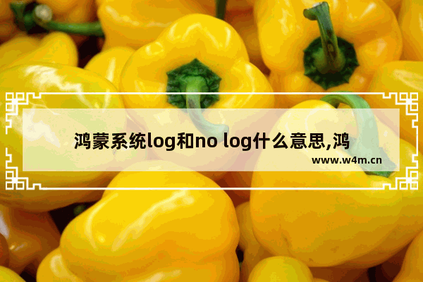 鸿蒙系统log和no log什么意思,鸿蒙系统选log还是no log