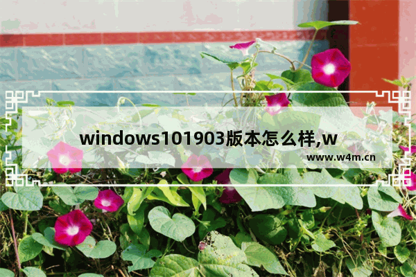 windows101903版本怎么样,windows101909安装失败