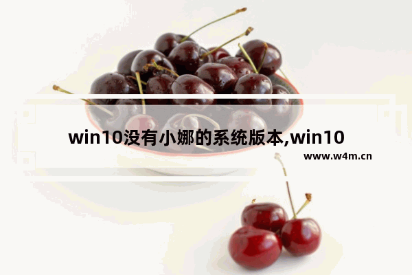 win10没有小娜的系统版本,win102004版本没有小娜