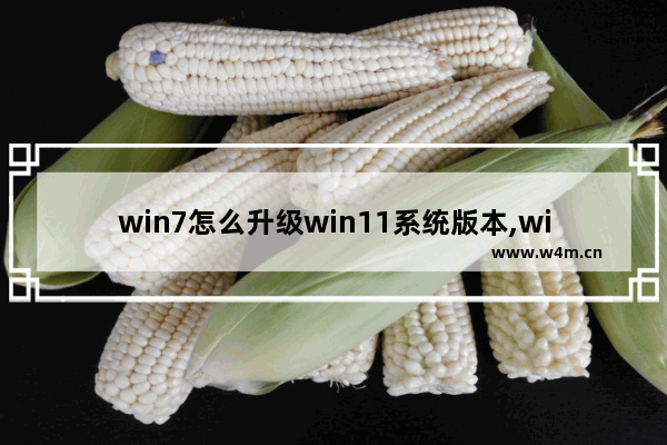 win7怎么升级win11系统版本,win8.1升级win10教程