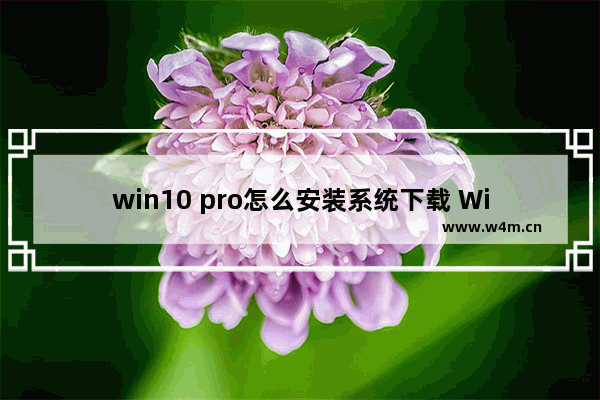 win10 pro怎么安装系统下载 Win10 Pro系统下载及安装教程