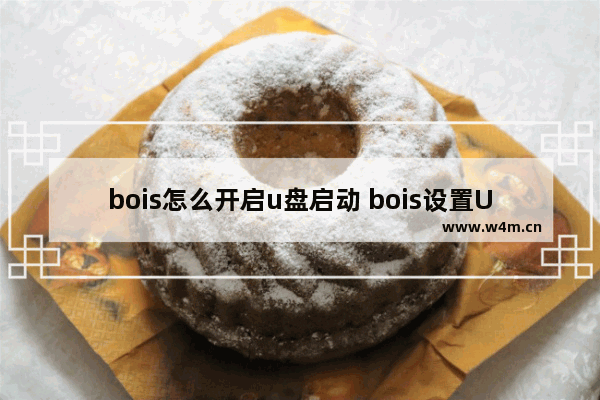 bois怎么开启u盘启动 bois设置U盘启动方法