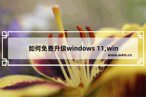 如何免费升级windows 11,windows10免费升级windows11