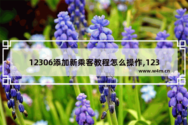 12306添加新乘客教程怎么操作,12306添加新乘客教程是什么