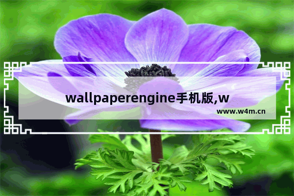 wallpaperengine手机版,wallpaper engine为什么没声音