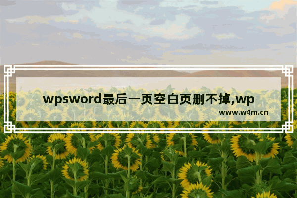 wpsword最后一页空白页删不掉,wps最后一页空白页删除不了怎么办