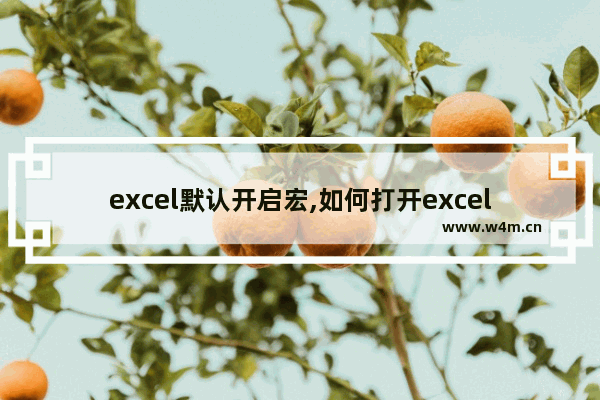 excel默认开启宏,如何打开excel宏设置