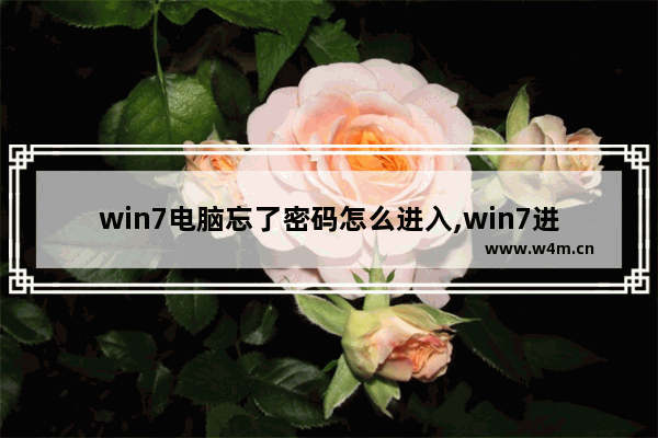 win7电脑忘了密码怎么进入,win7进系统密码忘了怎么办