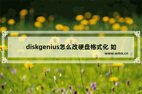 diskgenius怎么改硬盘格式化 如何使用DiskGenius更改硬盘格式化