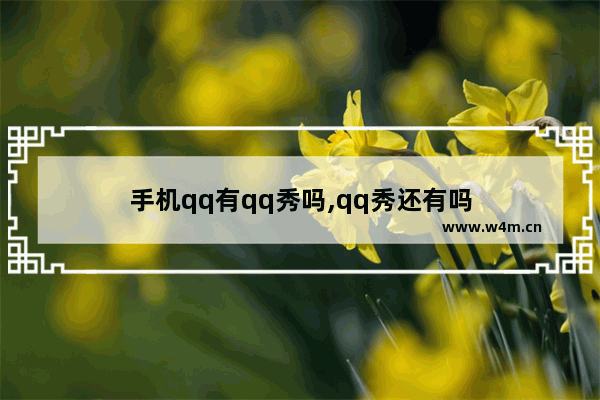 手机qq有qq秀吗,qq秀还有吗