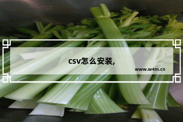 csv怎么安装,