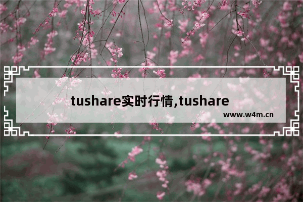 tushare实时行情,tushare 资金流向