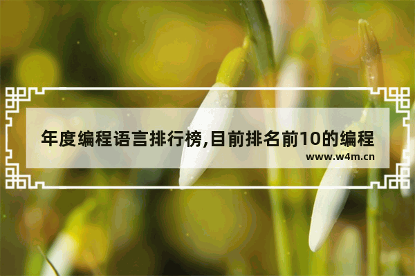 年度编程语言排行榜,目前排名前10的编程语言