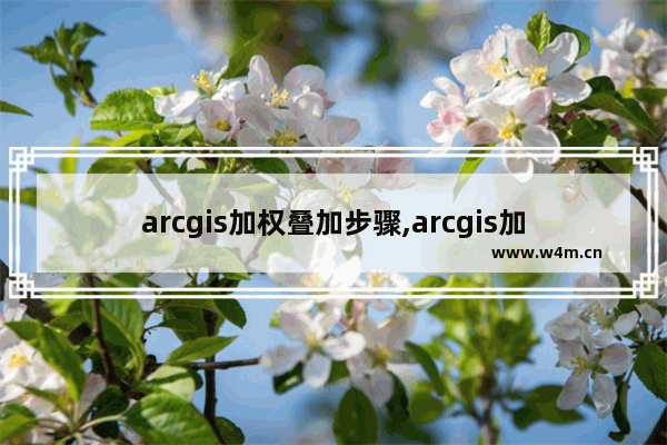 arcgis加权叠加步骤,arcgis加权总和工具在哪