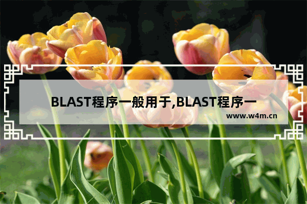 BLAST程序一般用于,BLAST程序一般用于什么的分析