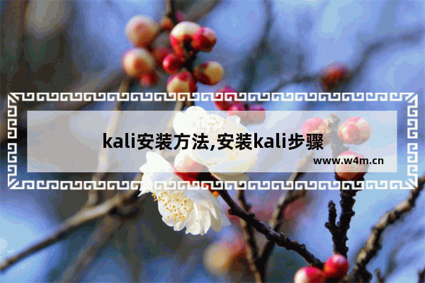 kali安装方法,安装kali步骤