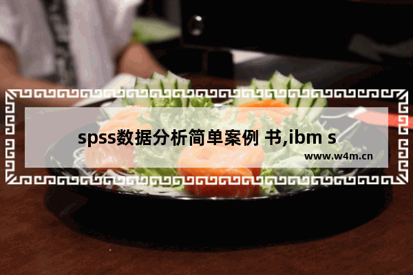 spss数据分析简单案例 书,ibm spss数据分析与挖掘案例精粹