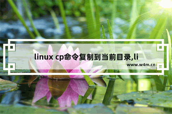 linux cp命令复制到当前目录,linux命令cp 复制文件夹下所有文件