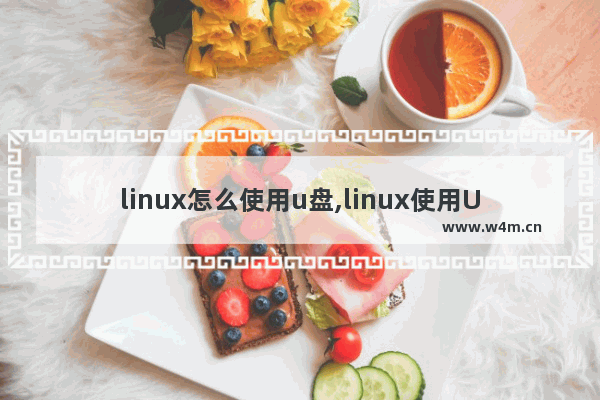 linux怎么使用u盘,linux使用U盘