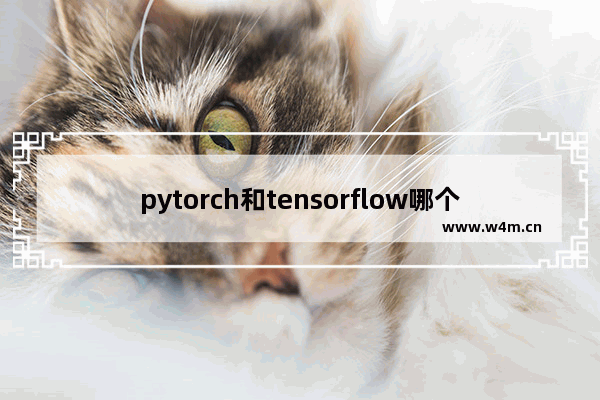 pytorch和tensorflow哪个容易学,pytorch和tensorflow的区别 知乎