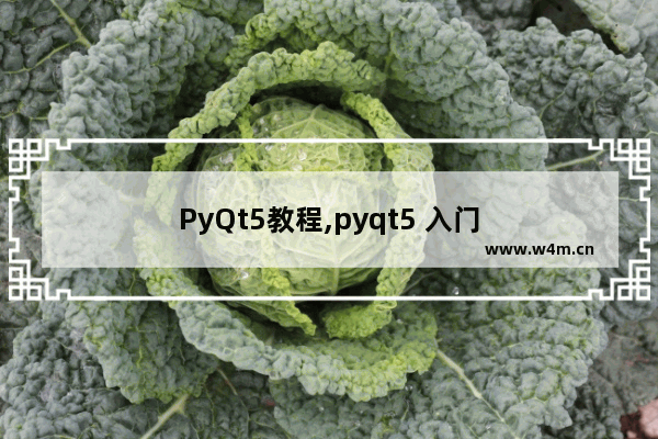 PyQt5教程,pyqt5 入门