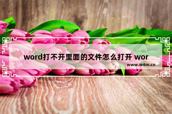 word打不开里面的文件怎么打开 word文档无法打开该如何处理