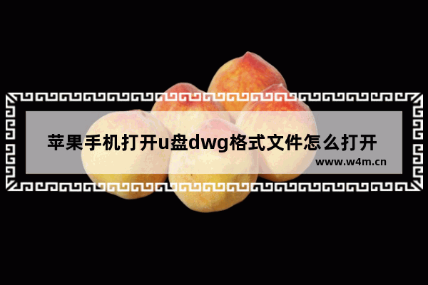 苹果手机打开u盘dwg格式文件怎么打开 苹果手机如何打开U盘中的DWG格式文件？