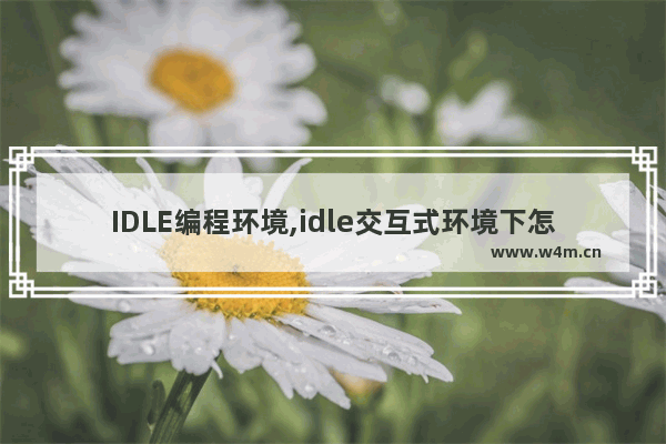 IDLE编程环境,idle交互式环境下怎么运行代码