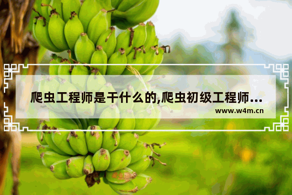 爬虫工程师是干什么的,爬虫初级工程师是个什么水平