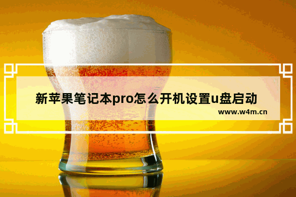 新苹果笔记本pro怎么开机设置u盘启动 设置苹果笔记本pro U盘启动方法解析