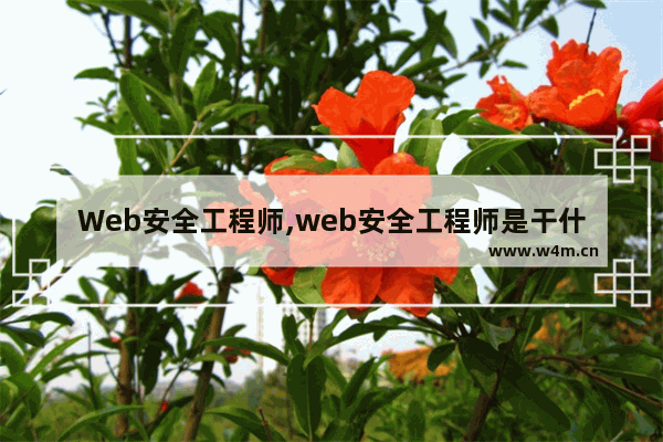 Web安全工程师,web安全工程师是干什么的