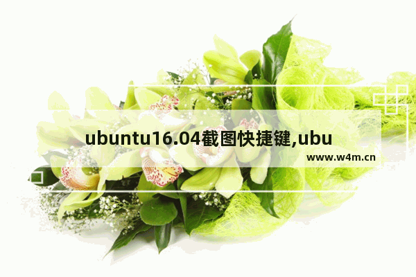 ubuntu16.04截图快捷键,ubuntu18.04截图快捷键