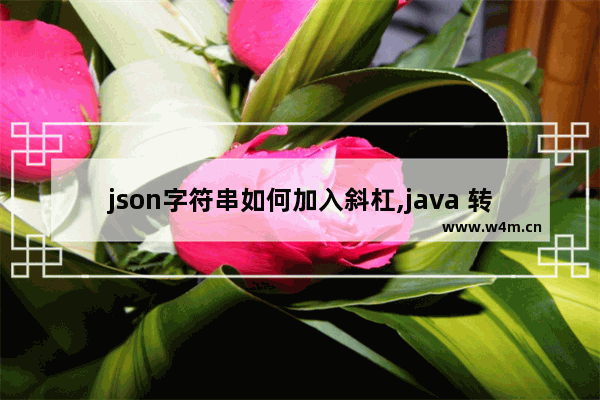 json字符串如何加入斜杠,java 转json字符串