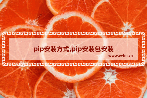 pip安装方式,pip安装包安装