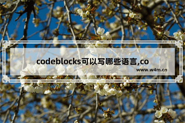 codeblocks可以写哪些语言,codeblocks编译成什么