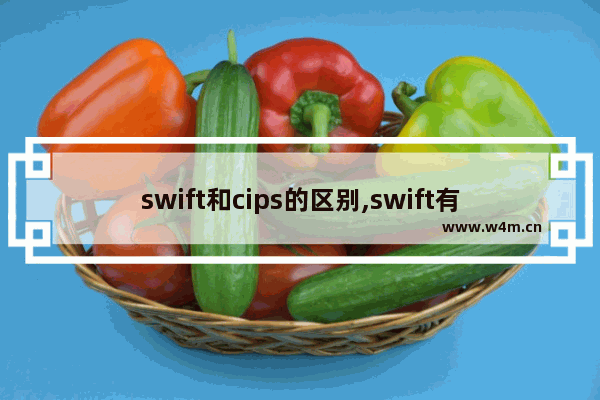 swift和cips的区别,swift有什么用